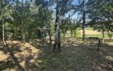 Maison à vendre à Puisseguin — Vue nature — photo 21