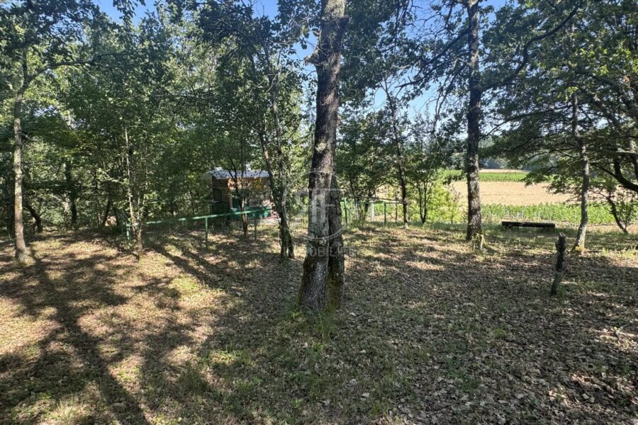 Maison à vendre à Puisseguin — Vue nature — photo 21