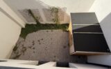 Maison à vendre à Le Touquet-Paris-Plage — Vue parc & jardin — photo 21