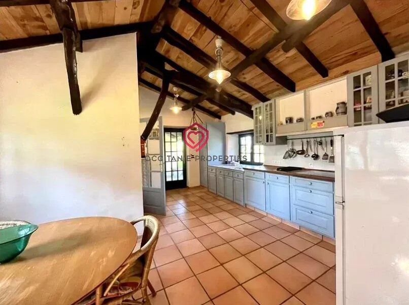 Maison à vendre à L&rsquo;Isle-en-Dodon — Vue montagne — photo 21