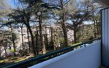 Appartement à louer à Saint-Étienne — Vue nature — photo 1