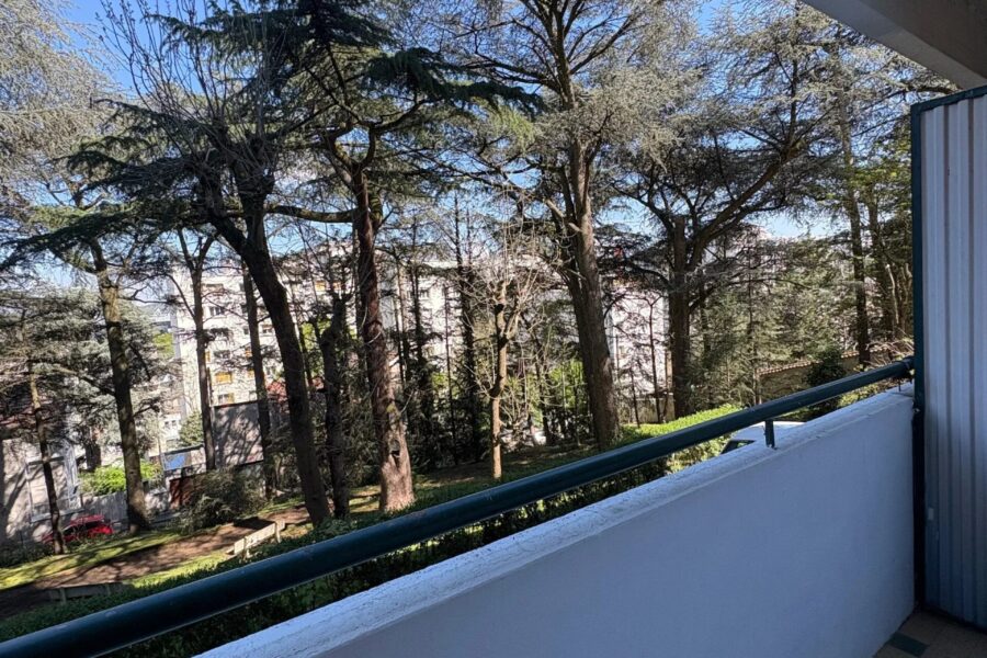 Appartement à louer à Saint-Étienne — Vue nature — photo 1