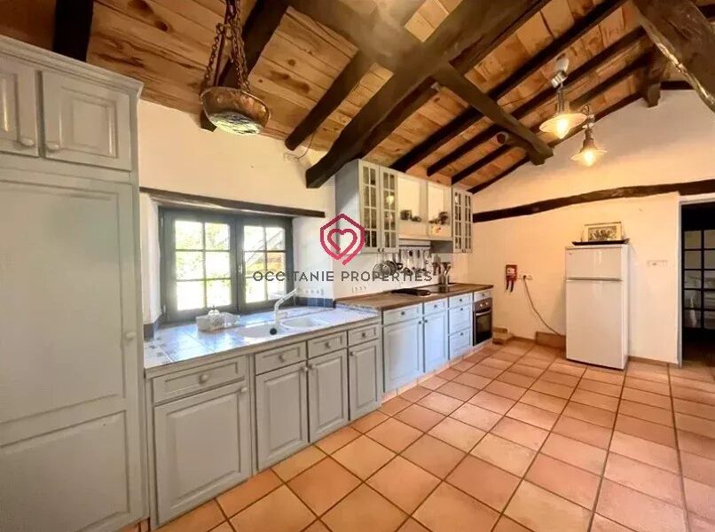 Maison à vendre à L&rsquo;Isle-en-Dodon — Vue montagne — photo 20