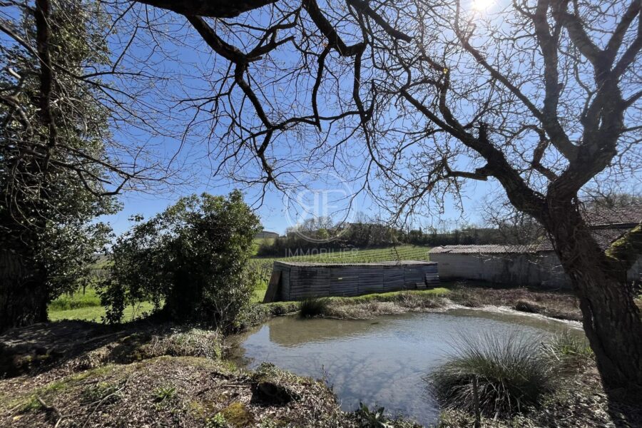 Maison à vendre à Saint-Émilion — Vue vignes — photo 2