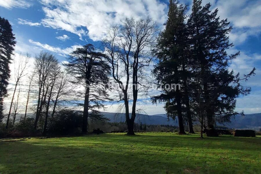 Maison à vendre à Pont-de-Larn — Vue montagne — photo 41