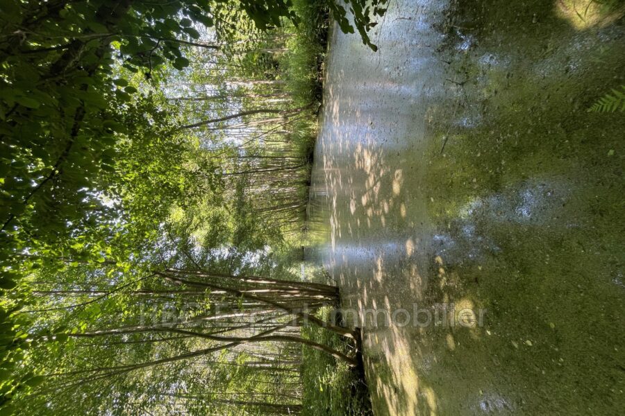 Terrain à vendre à Flixecourt — Vue fleuve — photo 4