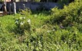 Terrain à vendre à La Rivière — Vue dégagée — photo 3