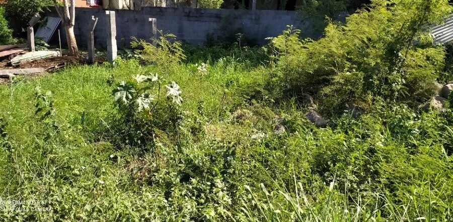 Terrain à vendre à La Rivière — Vue dégagée — photo 3