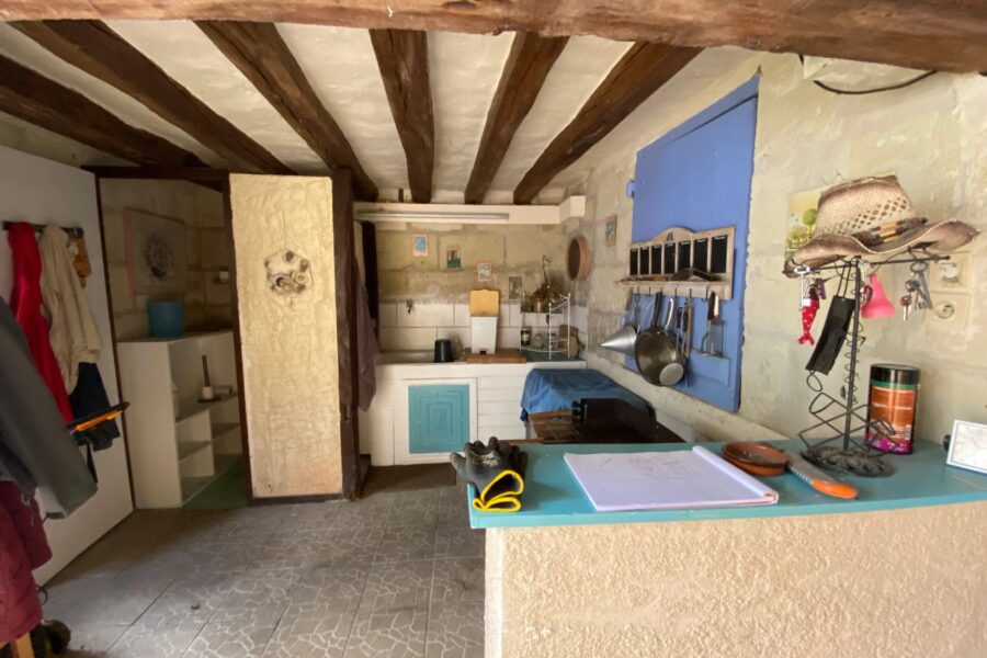 Maison à vendre à Chouzé-sur-Loire — Vue nature — photo 17