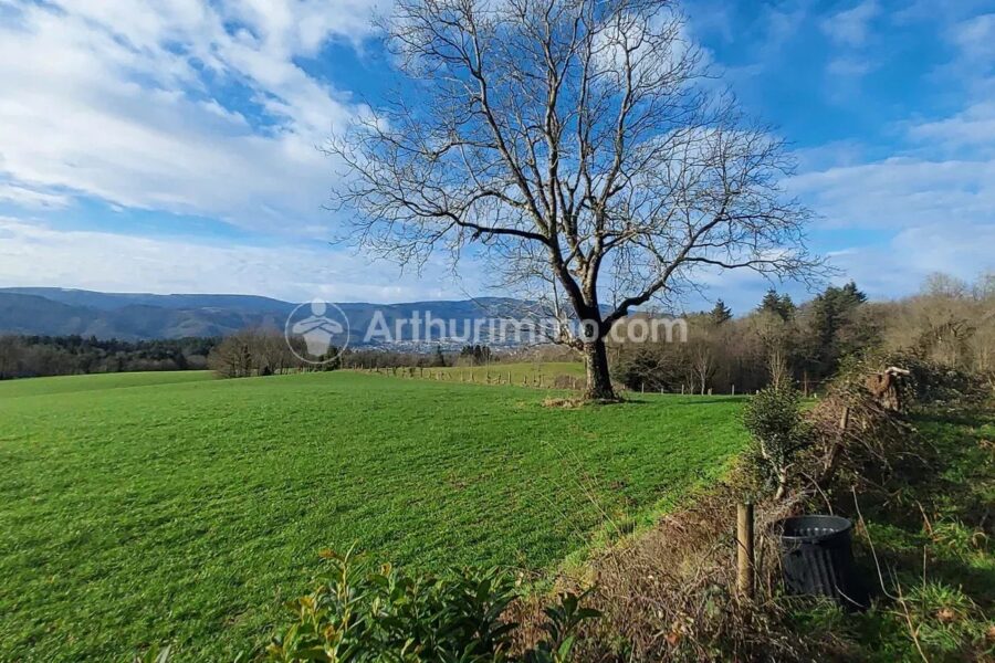 Maison à vendre à Pont-de-Larn — Vue montagne — photo 43