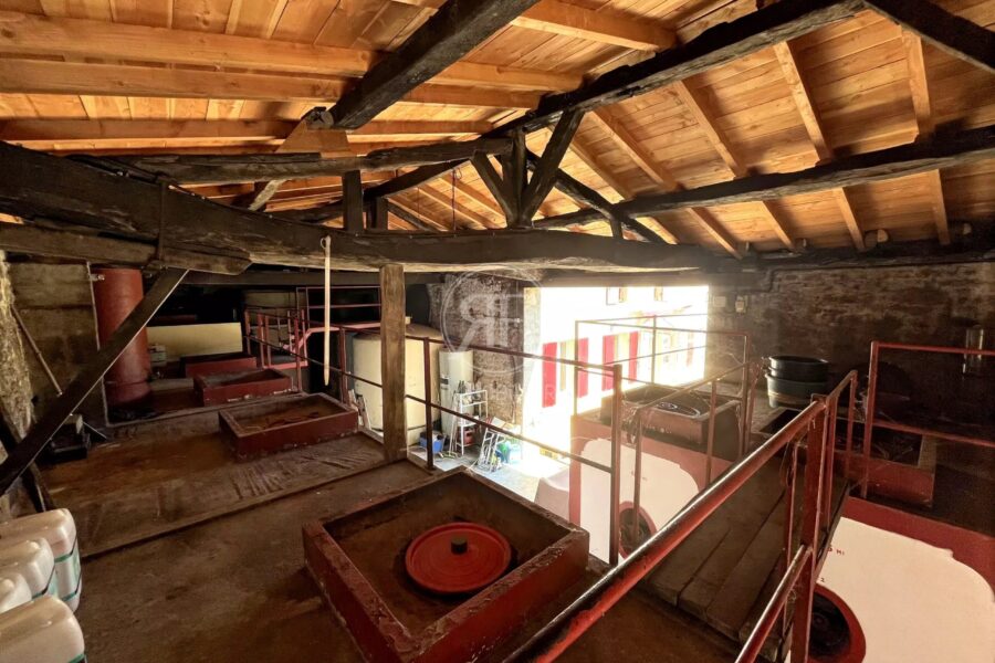 Maison à vendre à Saint-Émilion — Vue vignes — photo 19