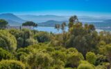 Maison à vendre à Sainte-Lucie-de-Porto-Vecchio — Vue mer — photo 4