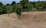 Terrain à vendre à Coursegoules — Vue nature — photo 11