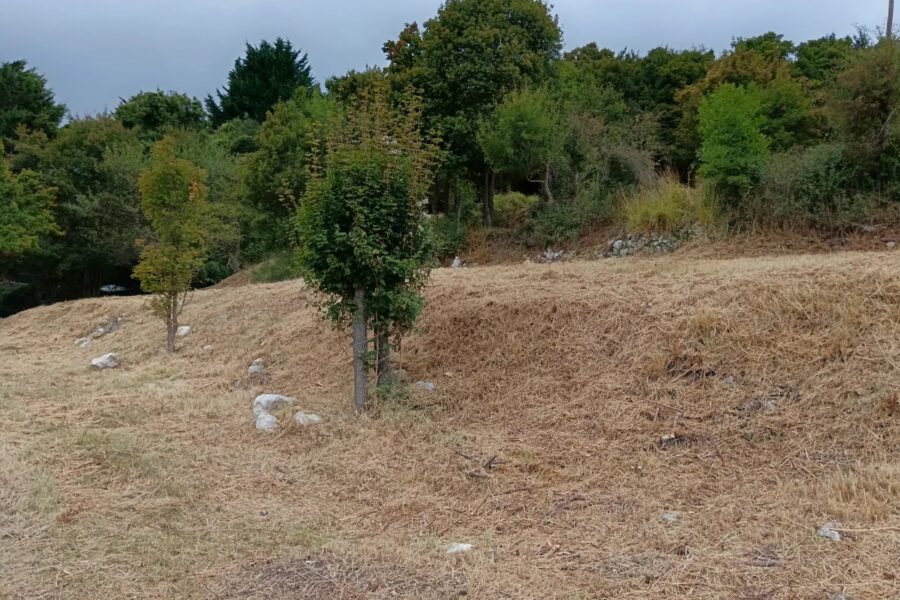 Terrain à vendre à Coursegoules — Vue nature — photo 11