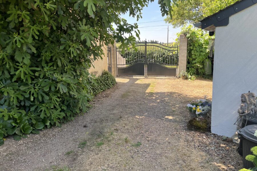 Maison à vendre à Saint-Péreuse — Vue nature — photo 16