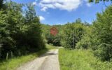 Maison à vendre à Belvèze-du-Razès — Vue montagne — photo 19