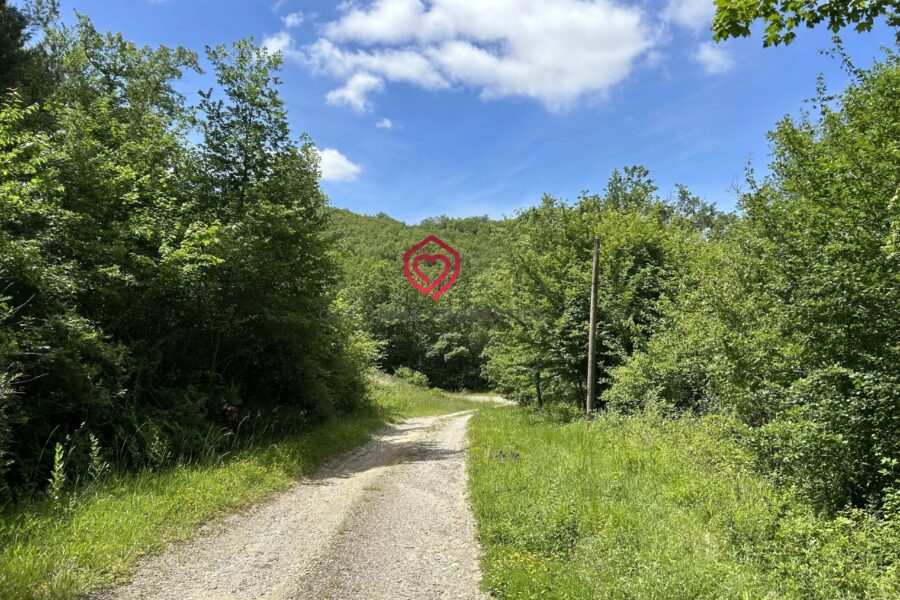 Maison à vendre à Belvèze-du-Razès — Vue montagne — photo 19