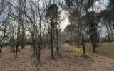 Terrain à vendre à Gujan-Mestras — photo 1
