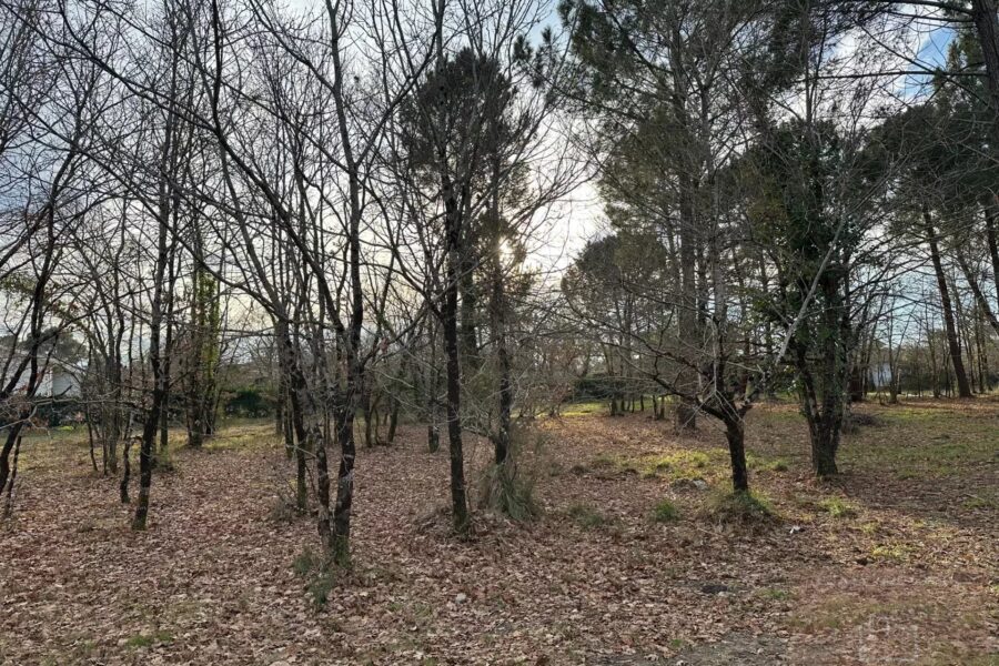 Terrain à vendre à Gujan-Mestras — photo 1
