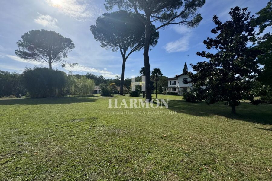 Maison à vendre à Magescq — Vue parc & jardin — photo 6