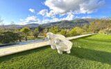 Maison à vendre à Grasse — Vue montagne — photo 1