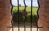 Maison à vendre à Villefranche-de-Lauragais — Vue montagne — photo 10