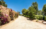Maison à vendre à Sainte-Lucie-de-Porto-Vecchio — Vue mer — photo 23