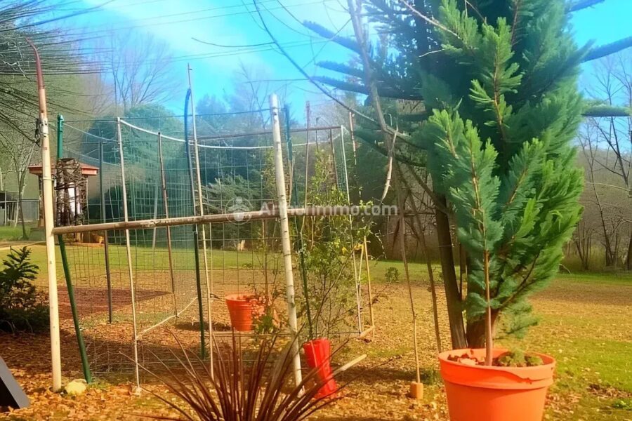 Maison à vendre à Payrin-Augmontel — Vue montagne — photo 21