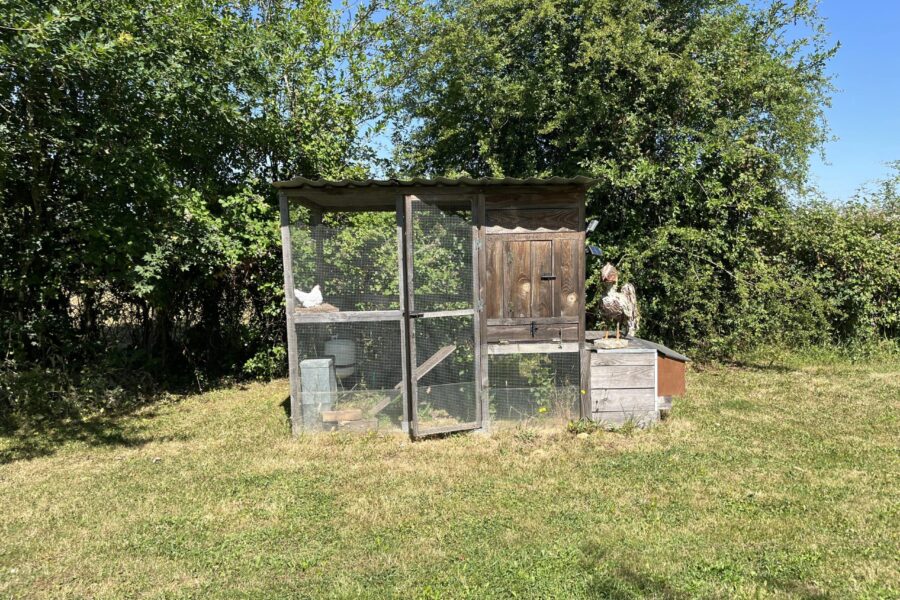 Maison à vendre à Saint-Péreuse — Vue nature — photo 17