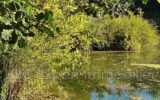 Terrain à vendre à Flixecourt — Vue fleuve — photo 10