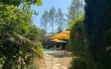 Maison à vendre à Lorgues — Vue parc & jardin — photo 9