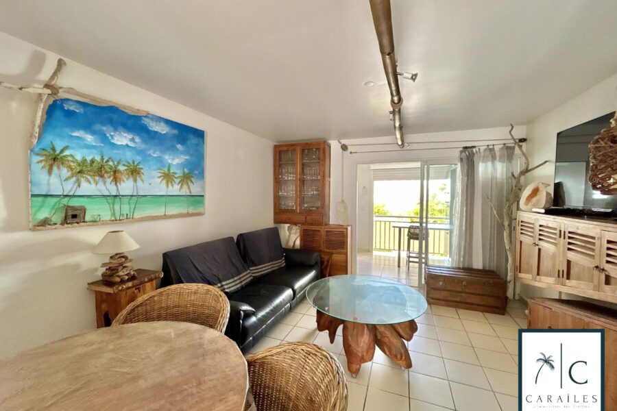 Appartement à vendre à Saint-François — Vue dégagée — photo 2