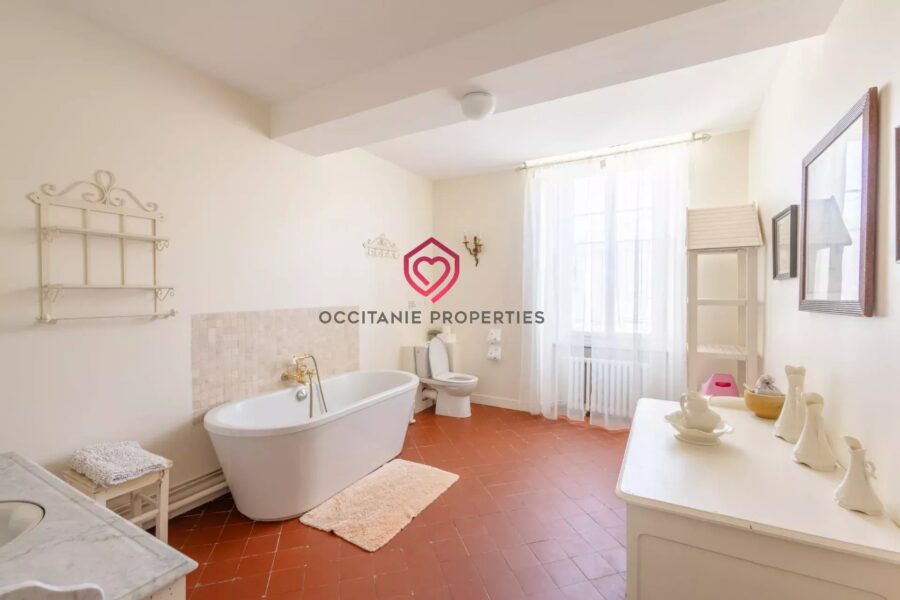 Maison à vendre à Olonzac — Vue sur la ville — photo 10