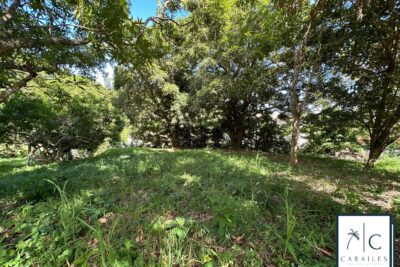 Terrain à vendre à Le François