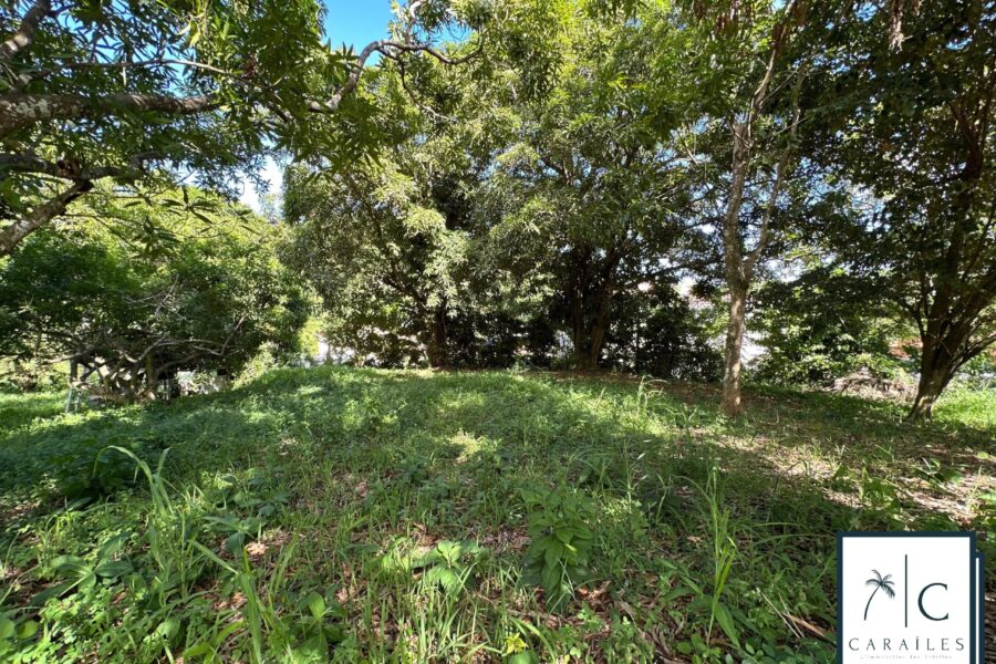 Terrain à vendre à Le François — photo 15