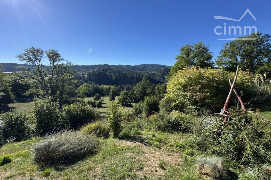 Maison à vendre à La Chapelle-Agnon — Vue montagne — photo 44