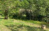 Terrain à vendre à Labégude — Vue nature — photo 3