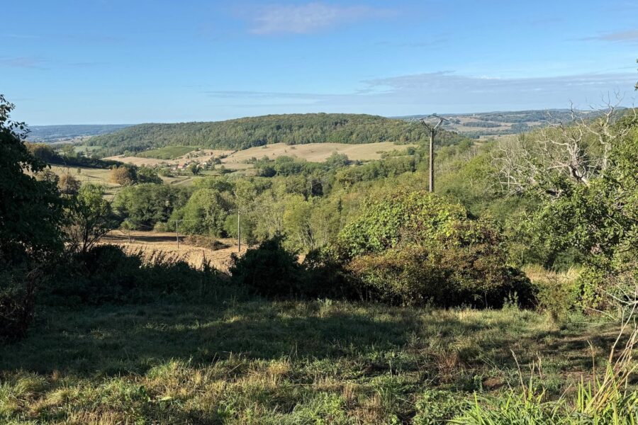 Appartement à vendre à Bourbonne-les-Bains — Vue nature — photo 30