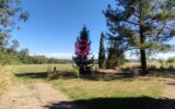 Maison à vendre à Alzonne — Vue montagne — photo 22