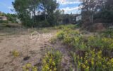 Terrain à vendre à Vidauban — Vue nature — photo 5