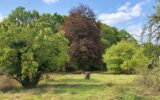 Terrain à vendre à Bois-le-Roi — Vue nature — photo 6