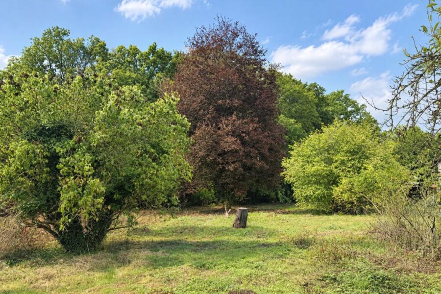 Terrain à vendre à Bois-le-Roi — Vue nature — photo 6