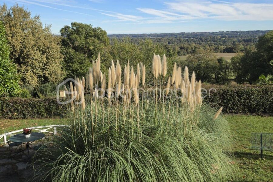 Maison à vendre à Ousse — Vue nature — photo 5