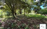 Terrain à vendre à Le François — photo 14