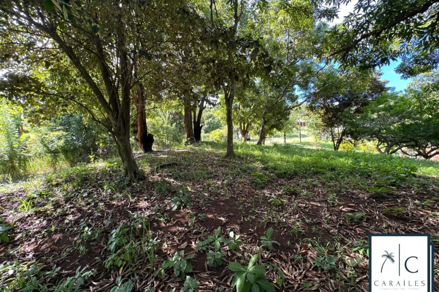 Terrain à vendre à Le François — photo 14