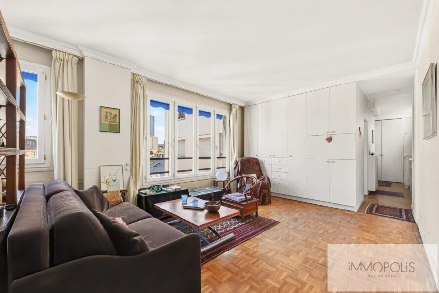 Appartement à vendre à Paris 15e arrondissement — Vue sur la ville — photo 4