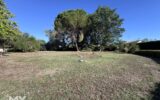 Maison à vendre à Pineuilh — Vue parc & jardin — photo 30