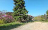 Maison à vendre à Fayence — Vue montagne — photo 4