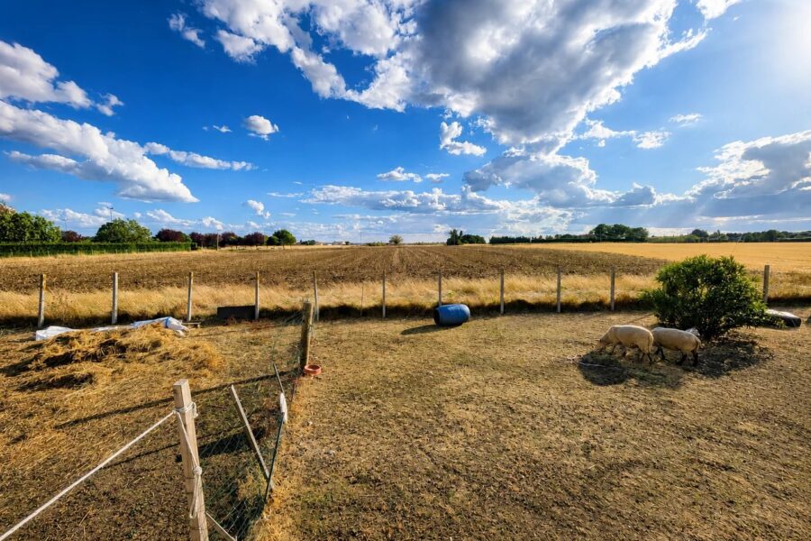 Maison à vendre à Marigny-Marmande — Vue nature — photo 1