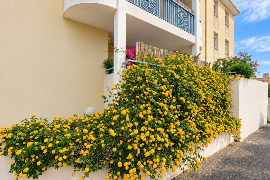 Appartement à vendre à Hyères — Vue dégagée — photo 9
